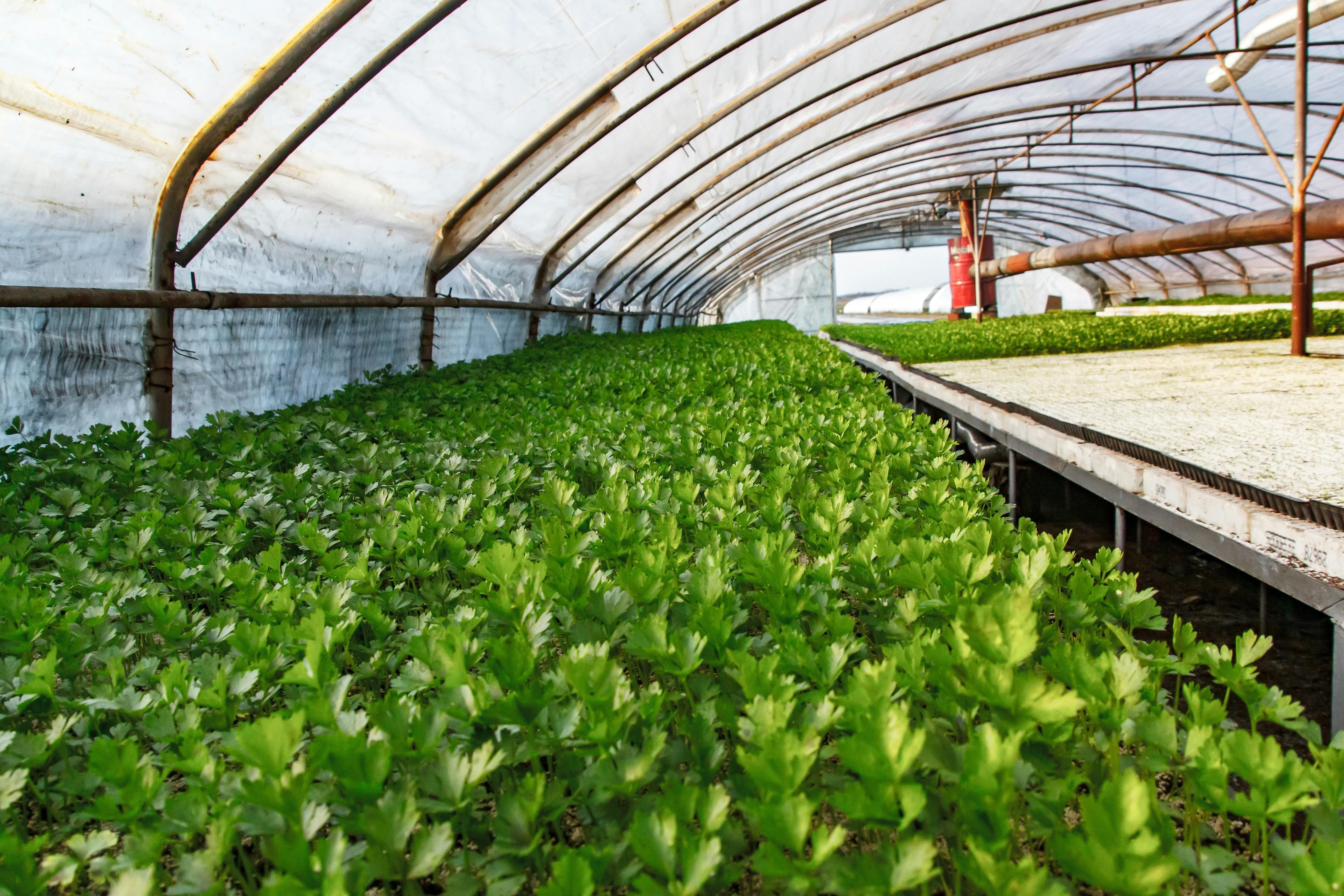 How Efficient Airflow Systems Can Boost Crop Yields How Efficient Airflow Systems Can Boost Crop Yields
